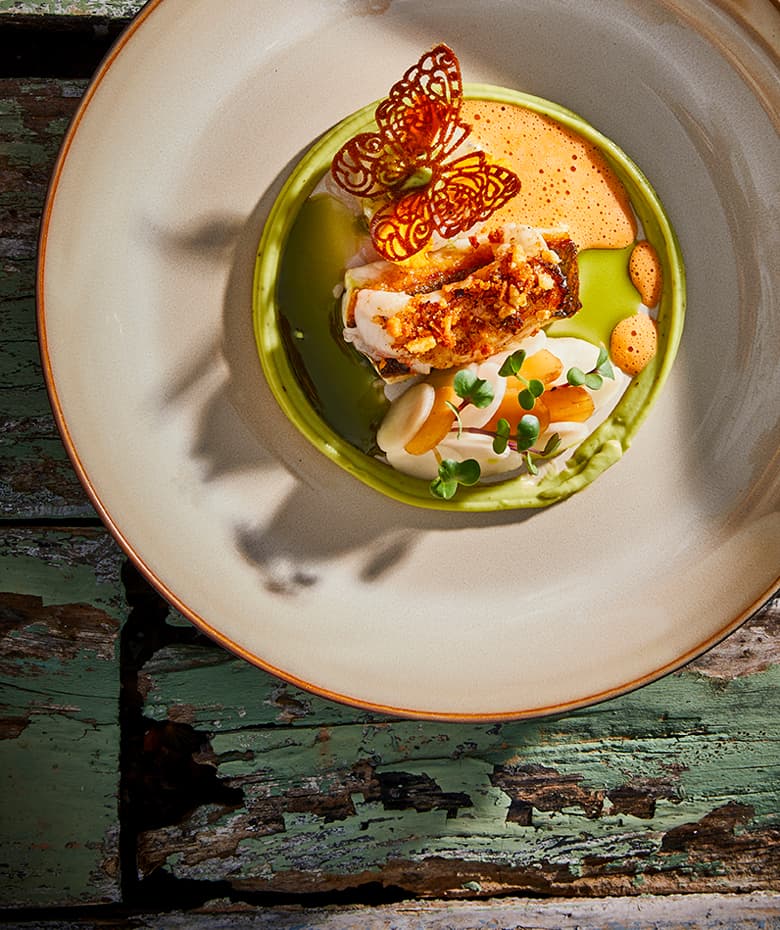 Mobile header herbal puree with sea bass, langoustine and rösticrumble
