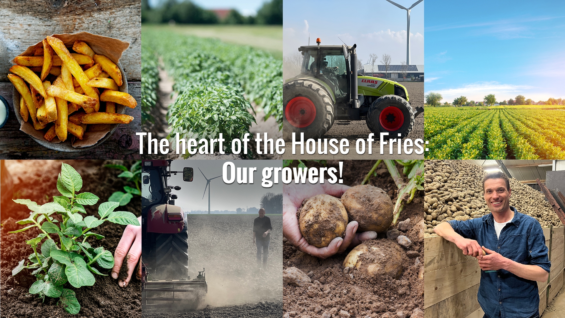 avfs-240195-01_house_of_fries_website_-_new_horizons_-_our_growers_page_-_header_-_1920x1080.jpg