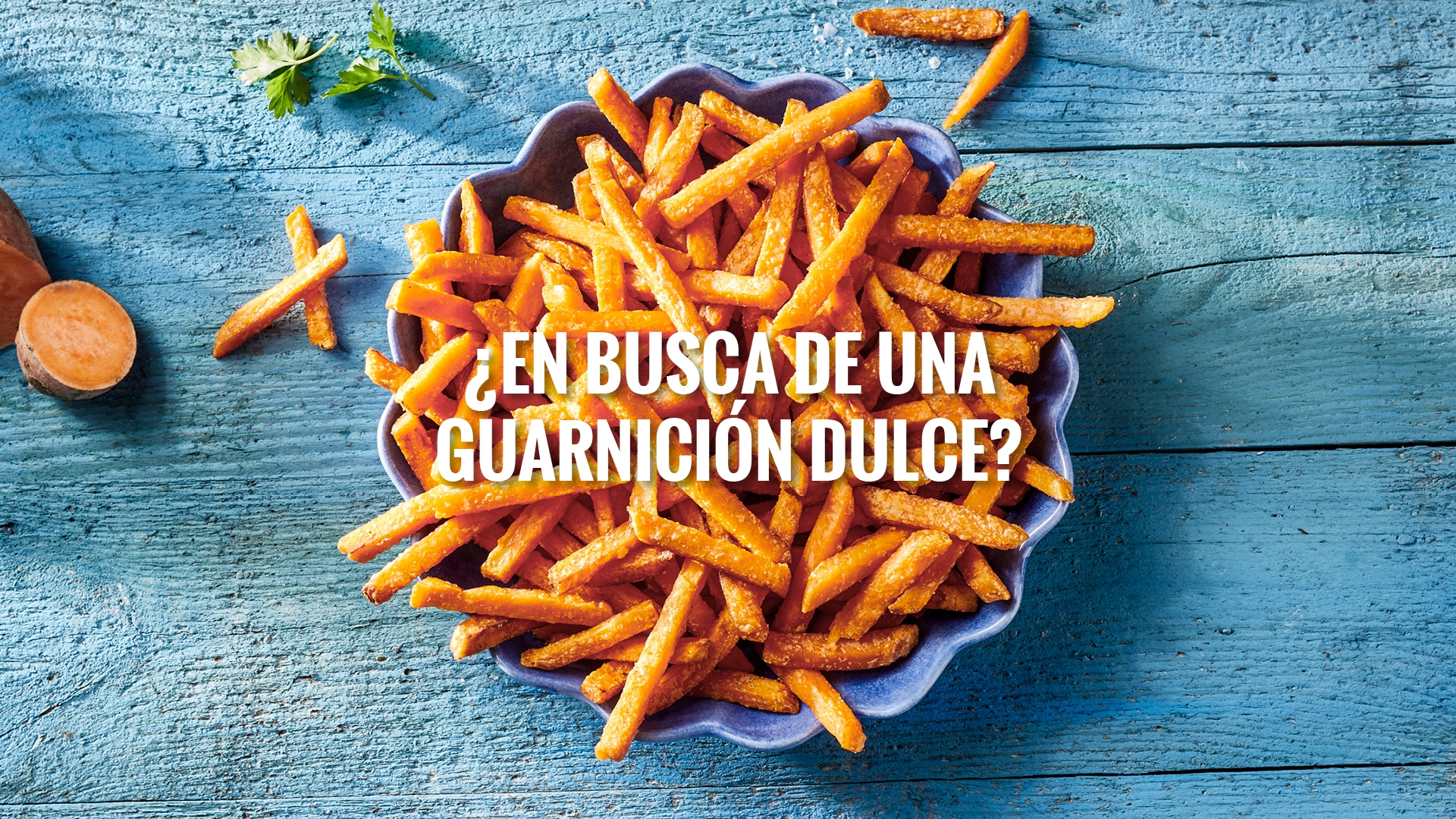avfs-240192-07_house_of_fries_website_-_fries_improvement_-_concept_page_sweet_potato_-_header_-_1920x1080_-_es.jpg