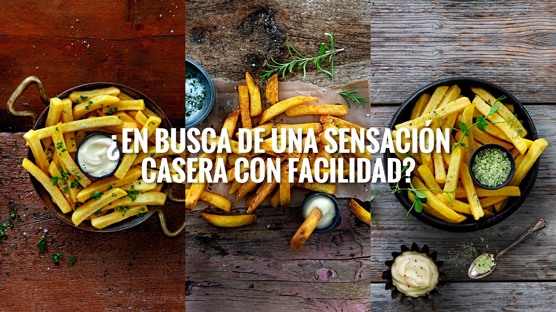 avfs-240194-08_house_of_fries_-_new_concept_-_concept_page_home_made_-_header_-_1920x1080_v2_-_es.jpg