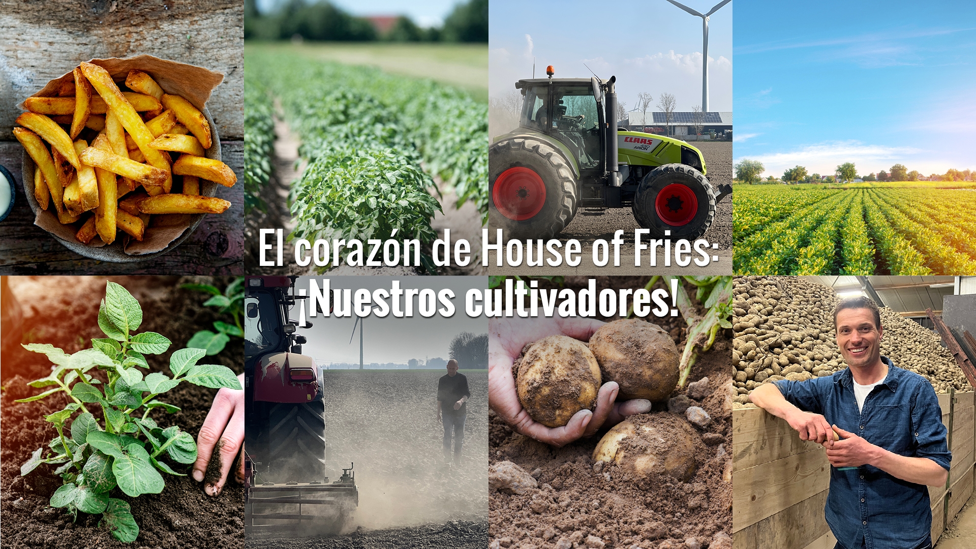 avfs-240195-01_house_of_fries_website_-_new_horizons_-_our_growers_page_-_header_-_1920x1080_-_es.jpg